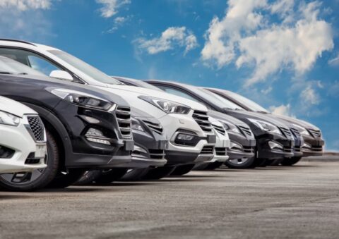 cars for sale on stock lot row